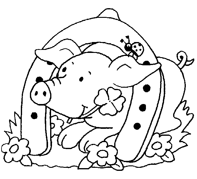 Świnki kolorowanki